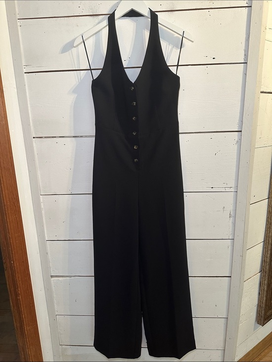 Aritzia Pants - Aritzia Wilfred Upscale Jumpsuit